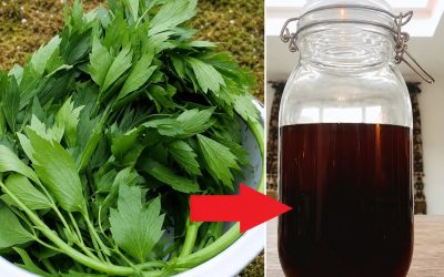Hemgjord flytande krydda från medicinsk ligurisk mat: När du väl har detta gamla RECEPT behöver du inga andra kryddor!  Den bästa ingrediensen för buljong, såser och kött!