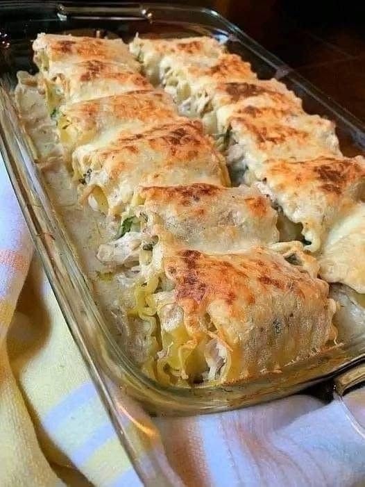 Kyckling Alfredo Lasagne