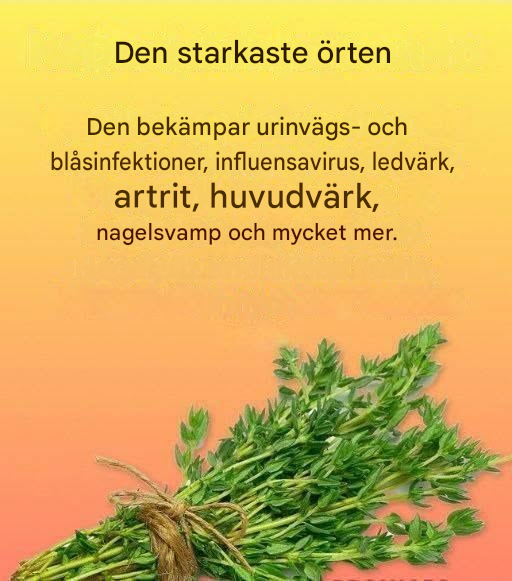 Ett naturligt botemedel mot parasiter och urinvägsinfektioner