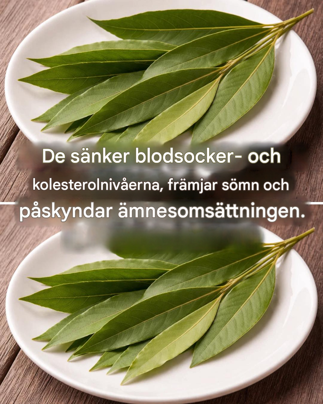 Lagerblad: sänker blodtryck, blodsocker och kolesterol och hjälper mot sömnlöshet