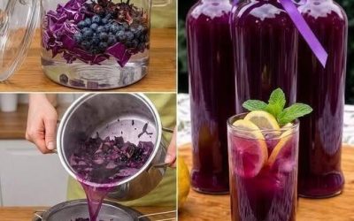 Wellnessdryck med rödkål och blåbär