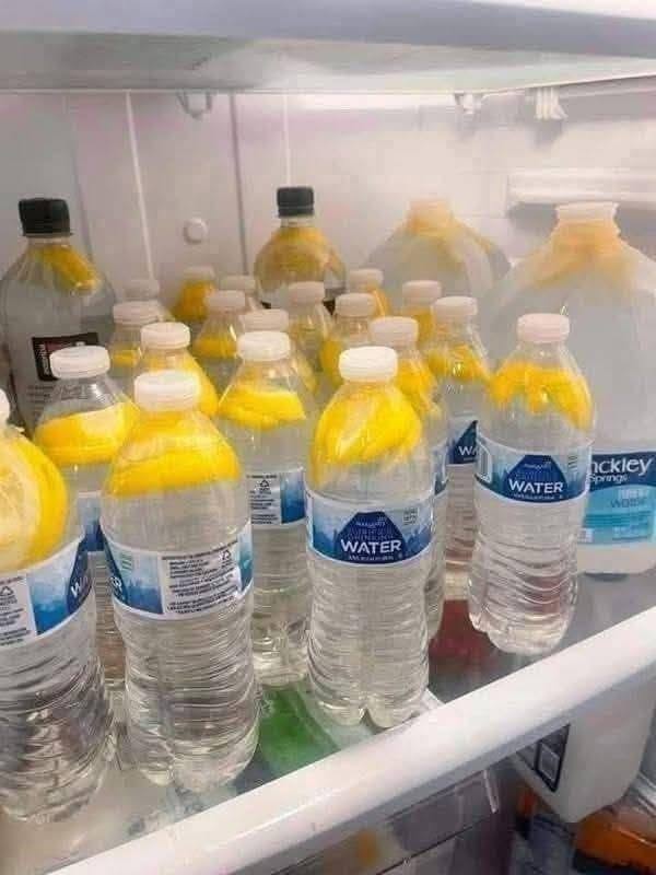 Potentialen hos ingefäravatten