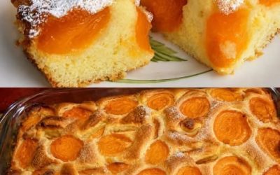 Aprikoskaka – en mjuk och fruktig klassiker