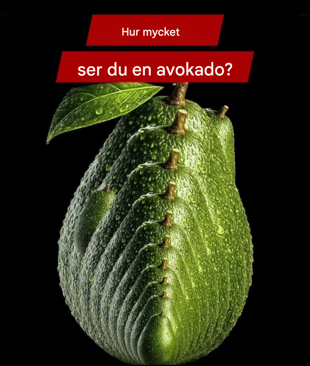 Du kommer inte att tro det! Hur många avokados finns det på bilden? Utmaningen som förbryllade alla! (Svaret finns i den första kommentaren)