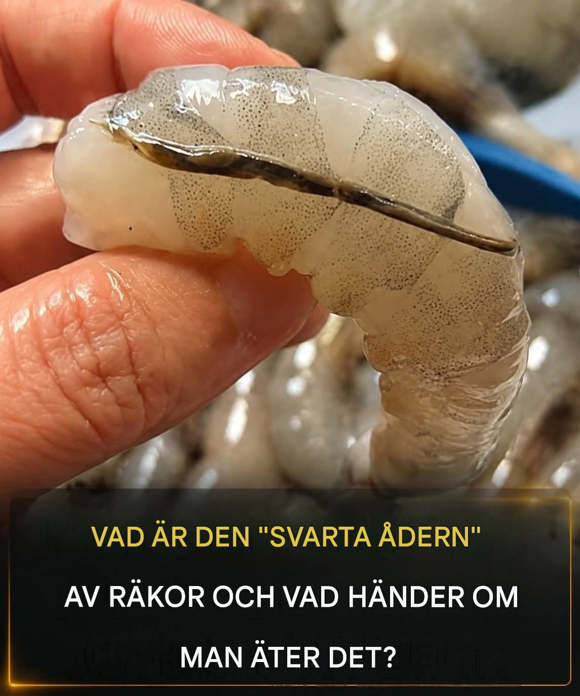 Räkornas “åder”: den kulinariska detaljen som få känner till och många diskuterar