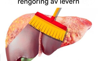 De bästa matvarorna för att rensa levern👇👇