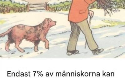 Kan du se bristen i den här snöiga scenen?