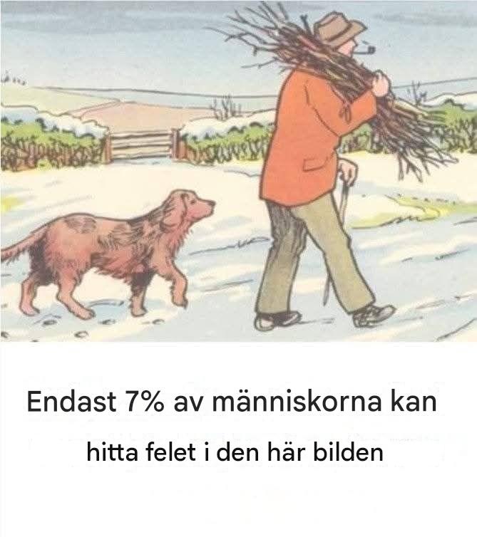 Kan du se bristen i den här snöiga scenen?