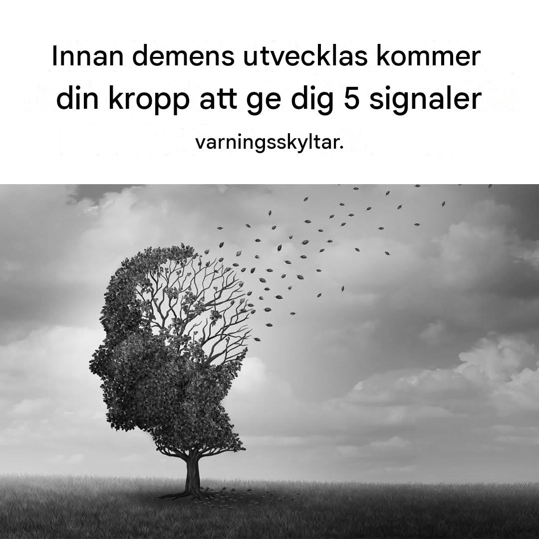 Alzheimers sjukdom: Innan demens utvecklas kommer din kropp att ge dig 5 varningstecken.