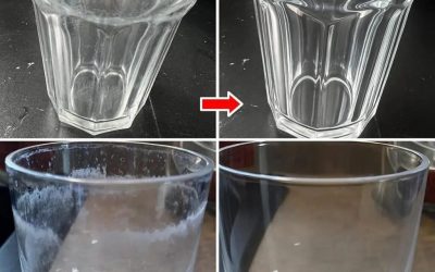 Hur tar man bort det vita lagret från glasögon och återställer deras glans?