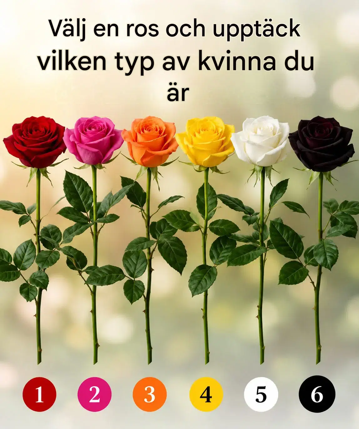 Välj en ros och upptäck vilken typ av kvinna du verkligen är