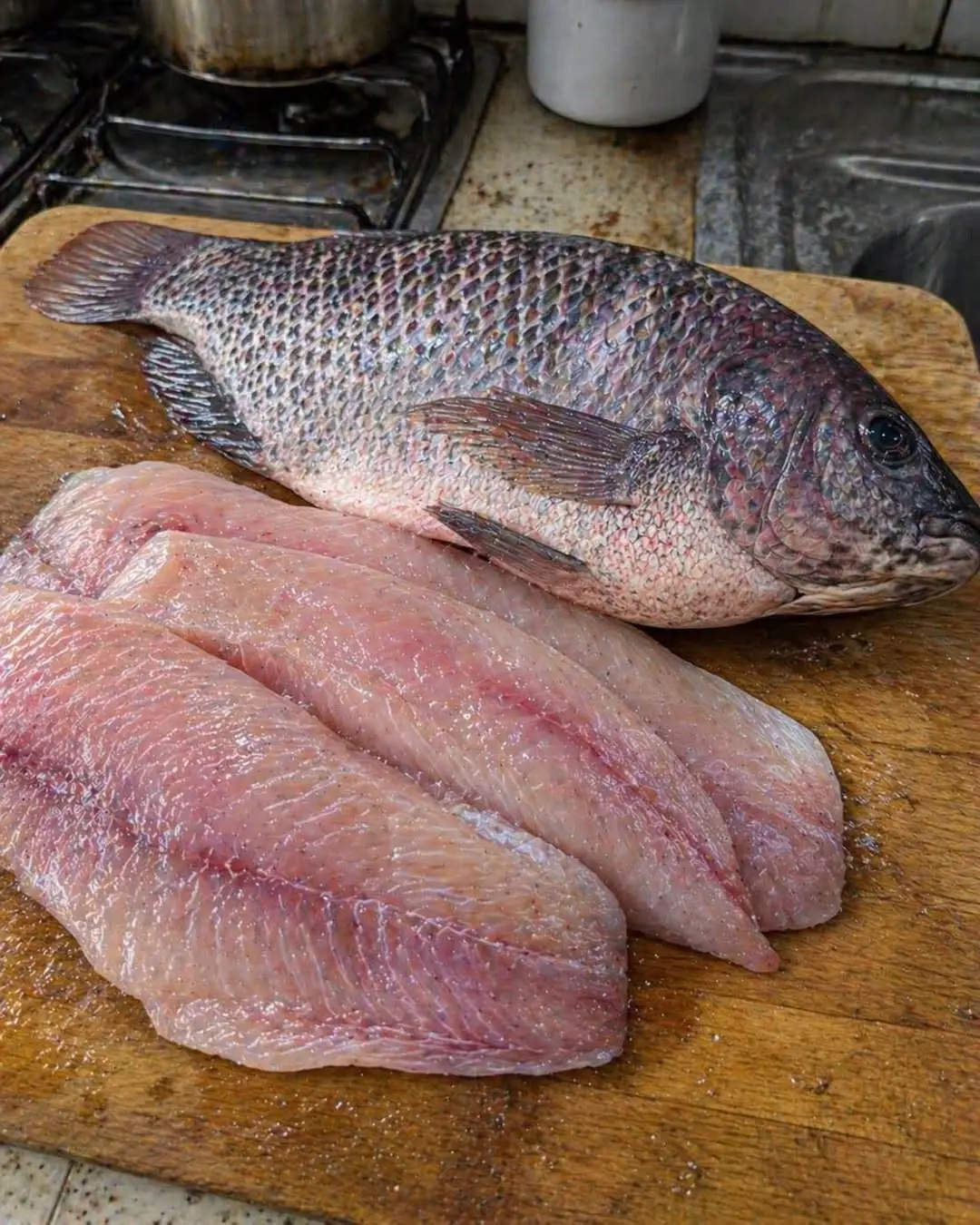 Tilapia: Är denna billiga fisk verkligen bra för hälsan?