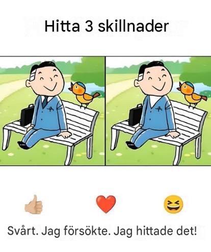 Kan du bara hitta tre skillnader?